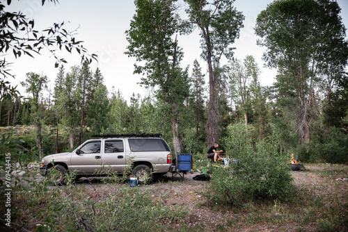 Car camping in a remote dispersed campground in Yellowstone