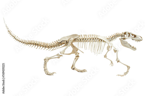 Dinosaur Skeleton on Transparent Background