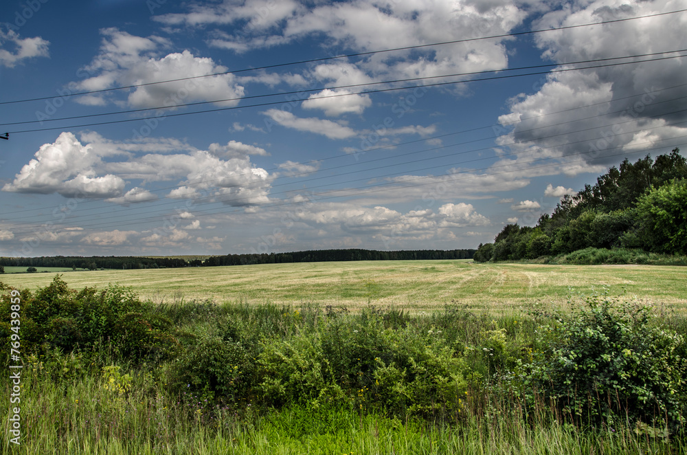 summer landscape, field and forest on a background of blue sky