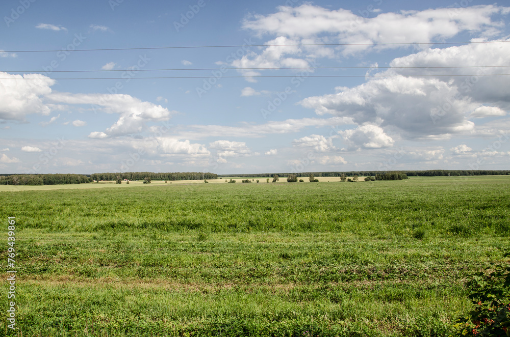Green field under blue sky with white clouds. Spring rural landscape.