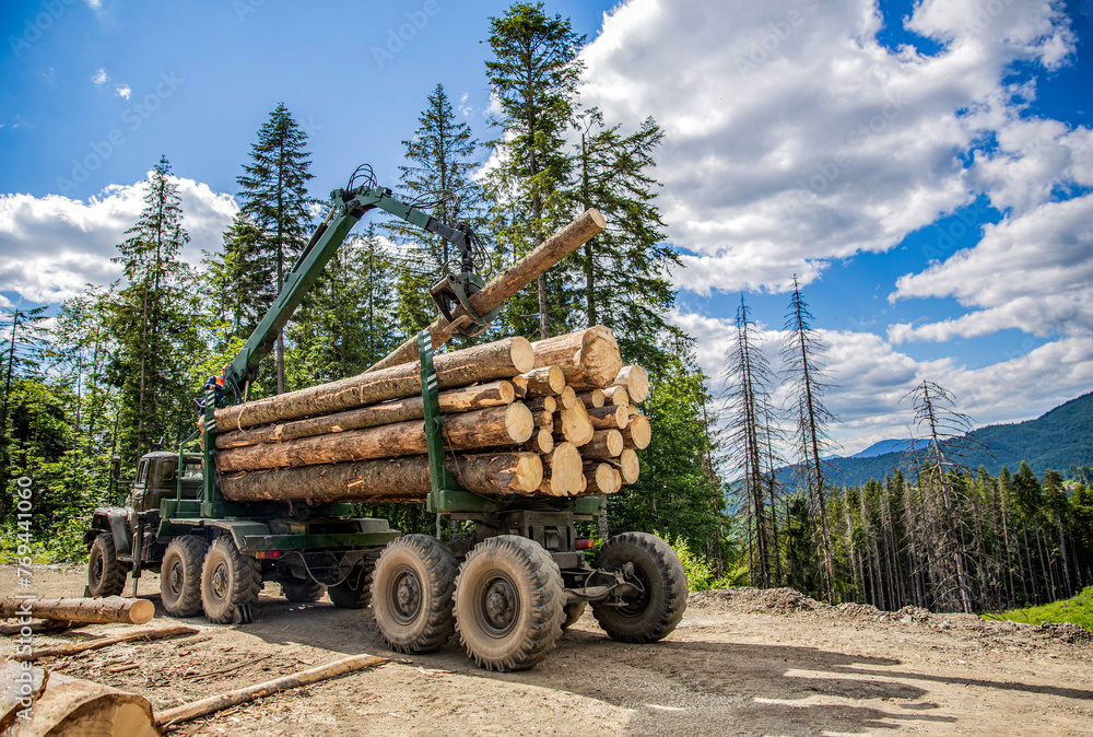 Felling of trees, cut trees. Truck loading wood in the forest. Loading logs onto a logging truck. Portable crane on a logging truck. Forestry tractors, trucks and loggers machinery. Forest industry