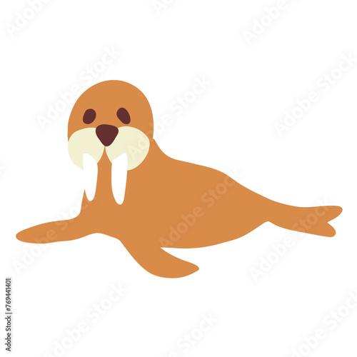 Walrus cartoon vector colorful illustration isolated on white, wild arctic mammal, decorative flat sign for design animal children pattern, maps for kids