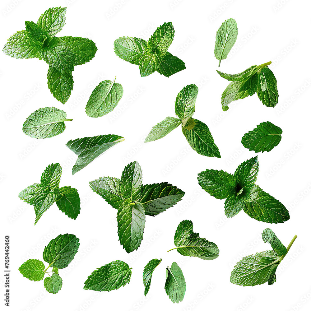 Collection of fresh mint leaves isolated on a Transparent Background. Generative AI Collection of fresh mint leaves isolated on a Transparent Background. Generative AI