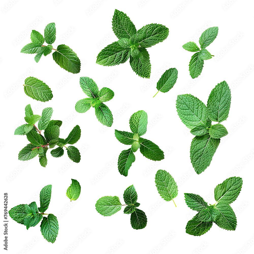 Collection of fresh mint leaves isolated on a Transparent Background. Generative AI Collection of fresh mint leaves isolated on a Transparent Background. Generative AI