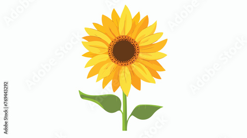 Yellow summer flower sunny flower sunflower silhouette