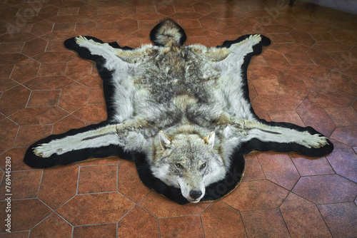 Wolf skin on the floor