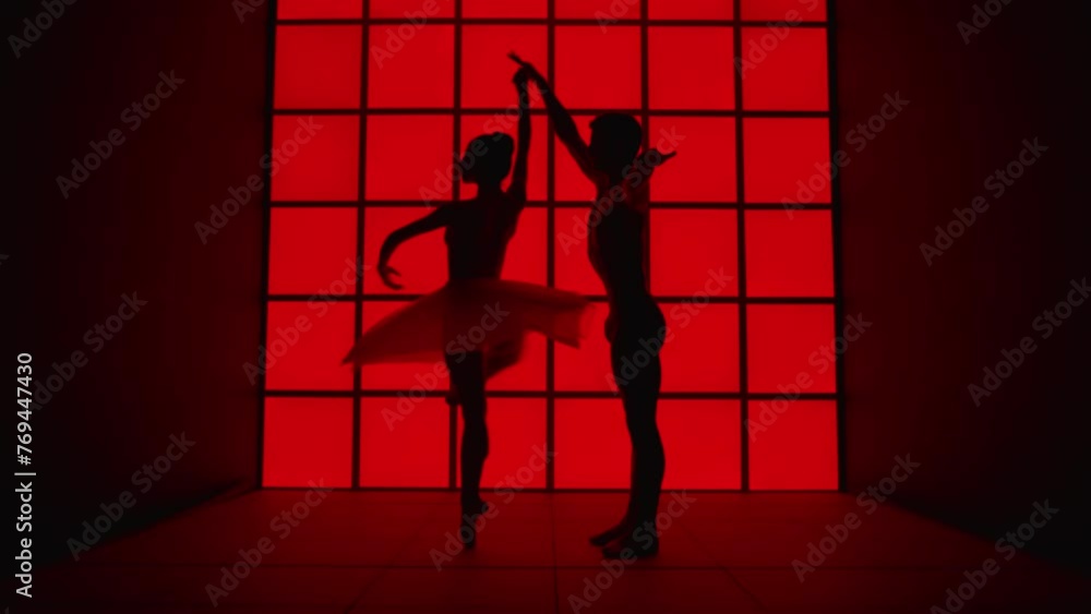 Silhouette of a beautiful couple of classical music dancers. They dance in front of a modern and futuristic red background with elegance
Concept of freedom, passion, love