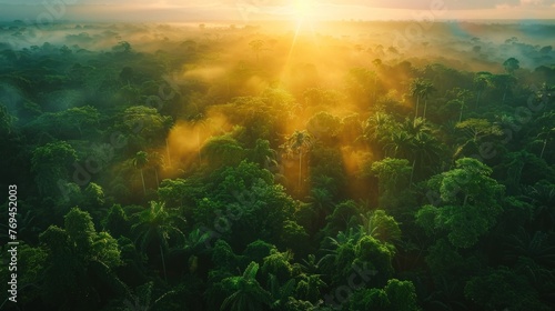 Aerial view of tropical forest at sunset with beautiful green Amazon forest landscape at sunset. An aerial drone exploration adventure