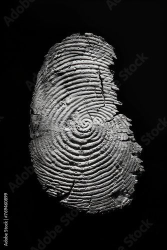 Concrete Fingerprint Artistry Capture., Abstract Textured Fingerprint