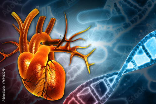 Human heart anatomy on DNA scientific background.