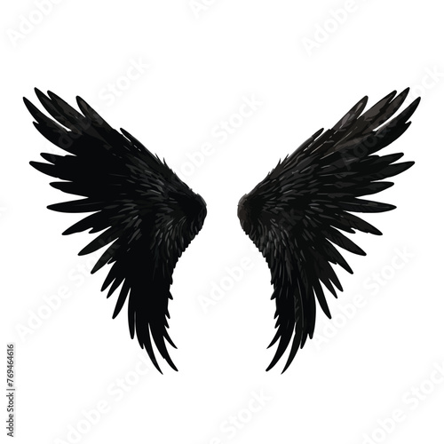 Black wing clipart isolated on white background -