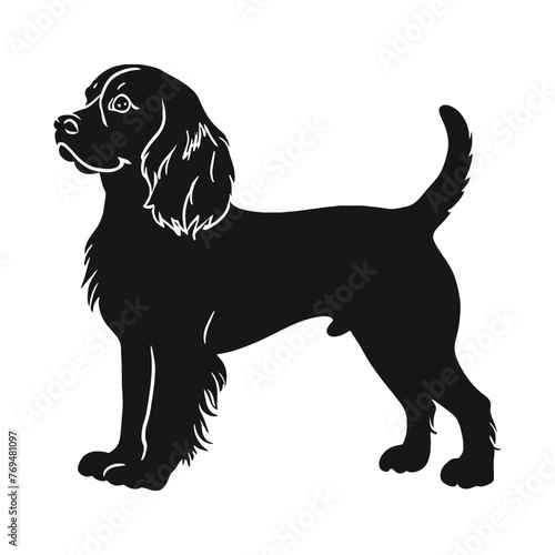Cavalier King Charles Spanie Silhouette