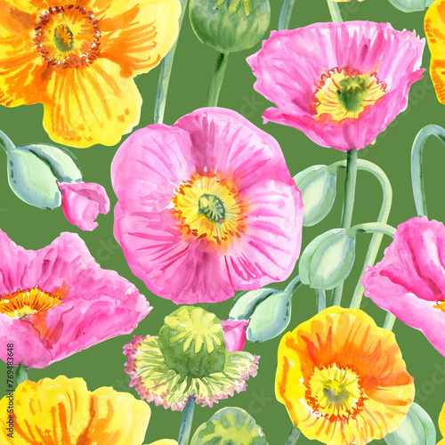 Seamless pattern of pink and yellow poppy flowers painted with watercolours on a green background. Botanical collection of garden and wild plants. For fabric, sketchbook, wallpaper, wrapping paper.