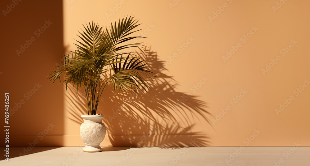 Obraz premium interior plants falling shadows beige background