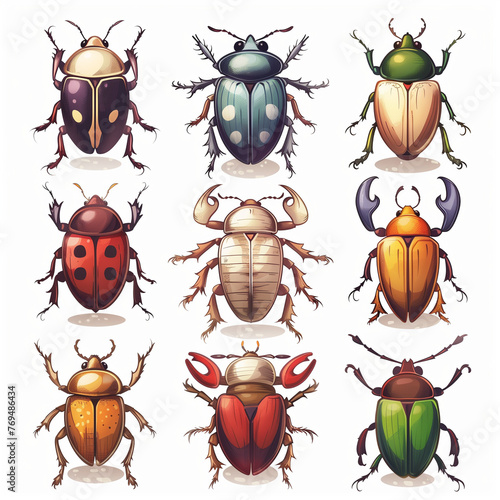 Beetle illustration sets © SP