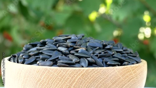 Roasted Sunflower Seeds Close-up Rotate in wooden bowl on plants background Harvesting Sunflower Unpeeled Seeds, Healthy Source of Vitamins in Vegan Food. Raw Materials for Sunflower Oil