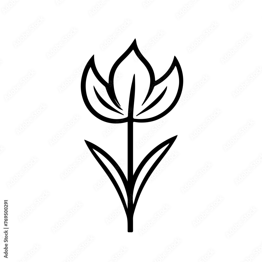 Flower vector illustration Flower vector illustration