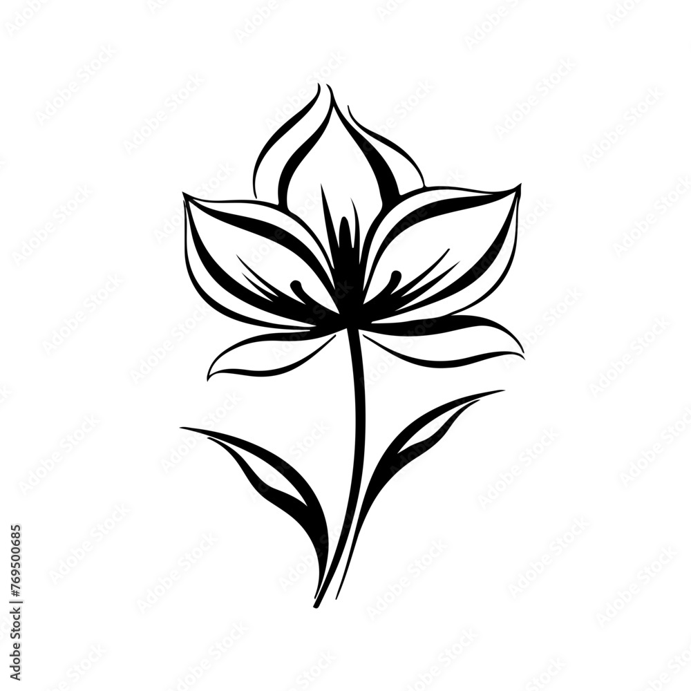 Flower vector illustration Flower vector illustration