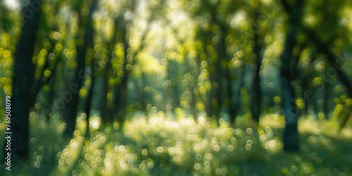 Beautiful rays of sunlight in a green forest  © sambath