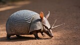An Armadillo With Its Scales Catching The Light As