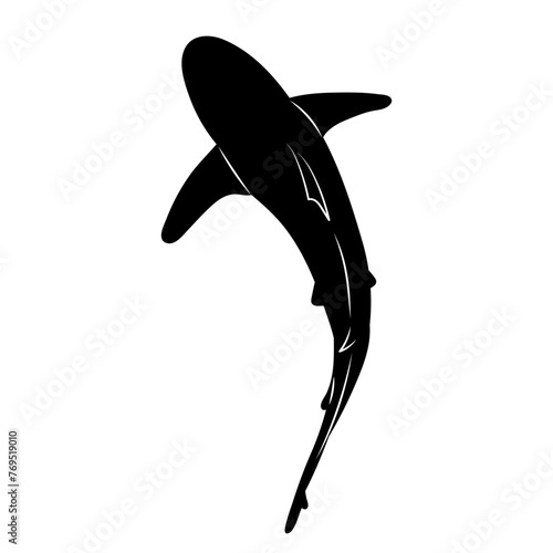silhouette shark swimming top view on a white background vector