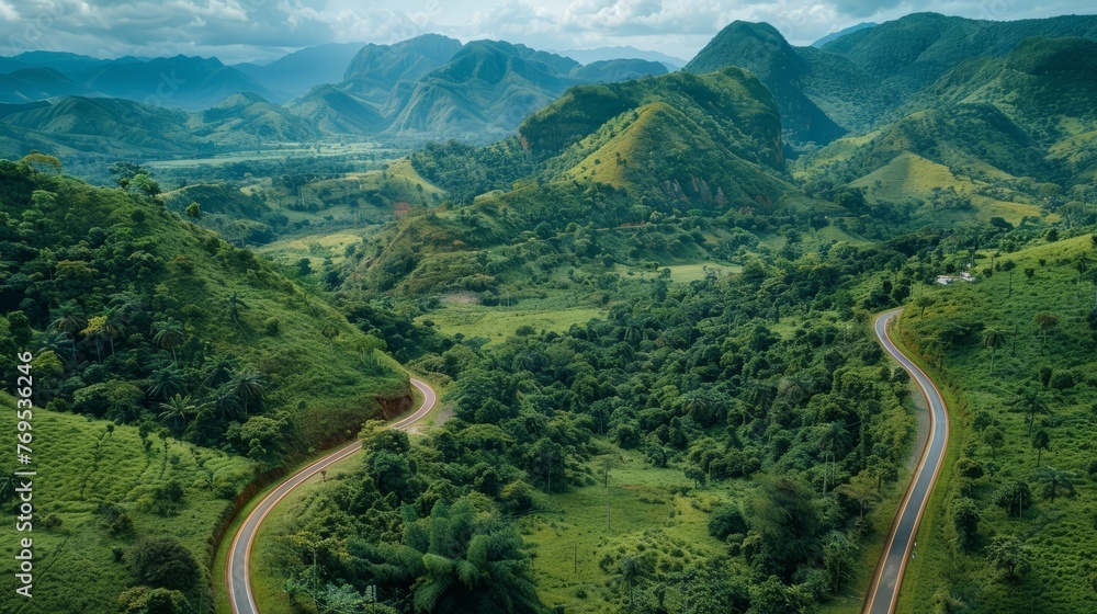 Bird's eye view curves the road in a beautiful green forest. Bird's eye view curves the road in a beautiful green forest.