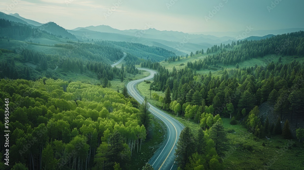 Fototapeta premium Bird's eye view curves the road in a beautiful green forest.