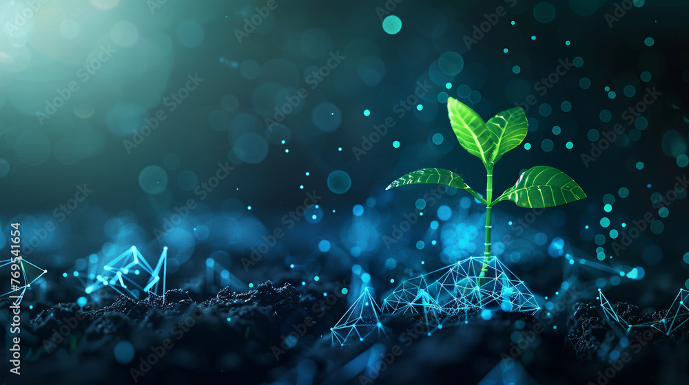 Fototapeta premium Abstract digital background of large data and mesh grid with low poly plant sprout growing from soil, futuristic technology concept in the style of technology.