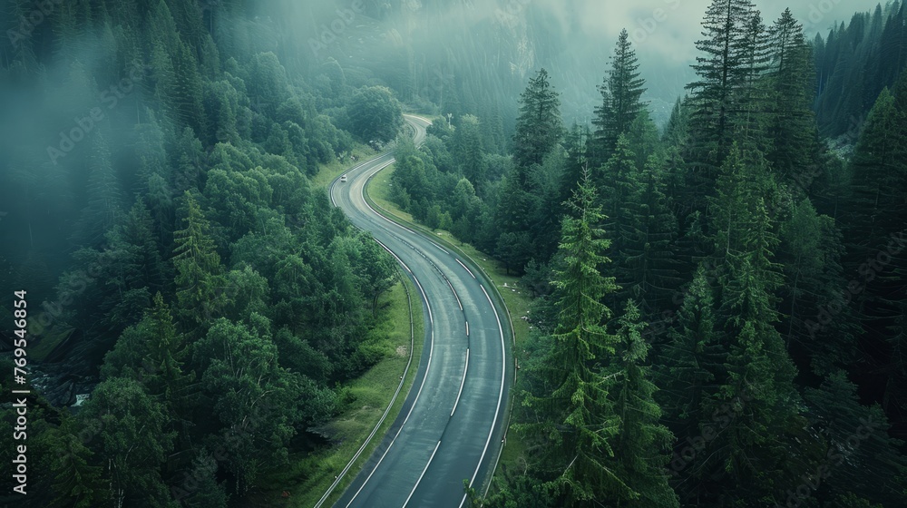 Bird's eye view curves the road in a beautiful green forest. Bird's eye view curves the road in a beautiful green forest.