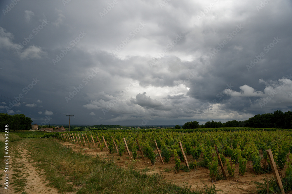 Ciel orageux avec gros nuage et paysage viticole 