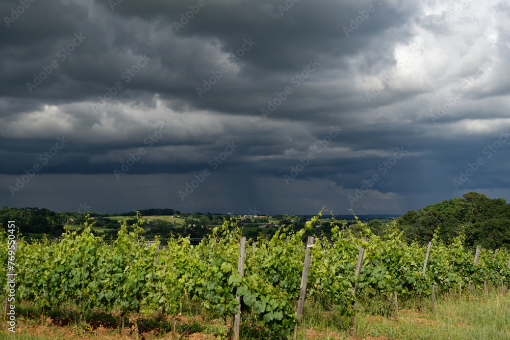 Ciel orageux avec gros nuage et paysage viticole 