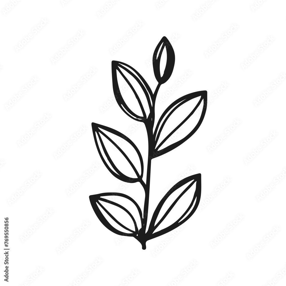 Obraz premium Leaf vector