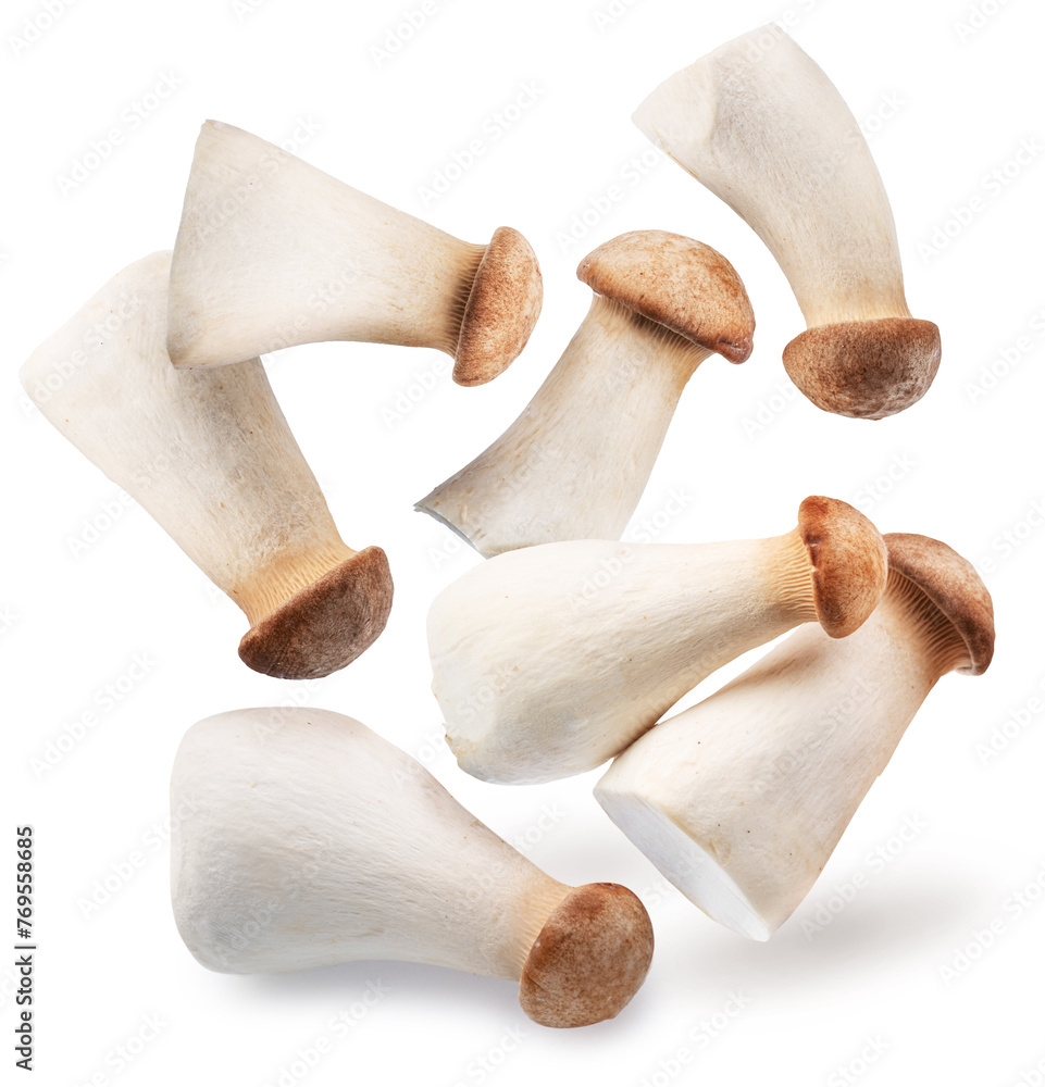 King oyster mushrooms or eryngii mushrooms levitating in air on white background. Close-up. - obrazy, fototapety, plakaty 