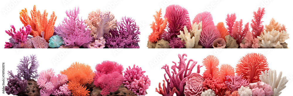 Set of coral reefs cut out