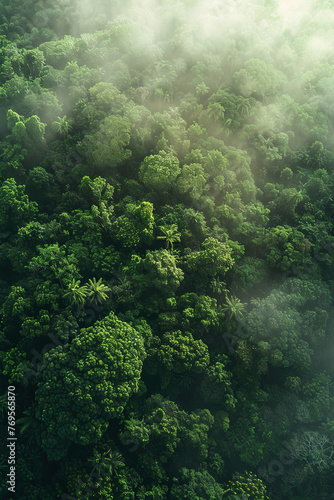 Aerial view of a tropical rainforest during sunrise