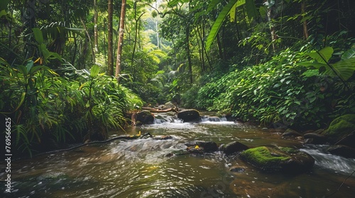 A stream gracefully winds its way through a dense forest  surrounded by vibrant green trees and foliage. The sunlight filters through the canopy  casting dappled shadows on the forest floor.