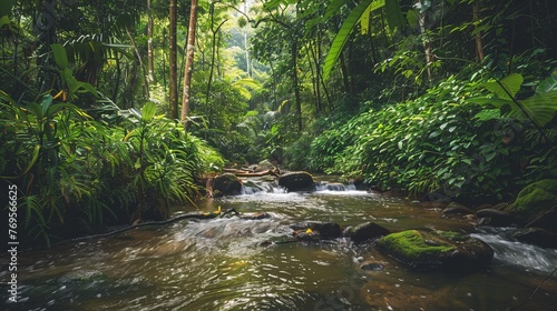 A stream gracefully winds its way through a dense forest, surrounded by vibrant green trees and foliage. The sunlight filters through the canopy, casting dappled shadows on the forest floor.