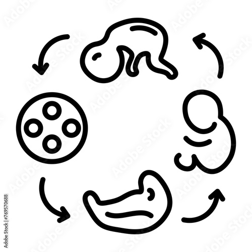 Ready to use line icon of embryo development 