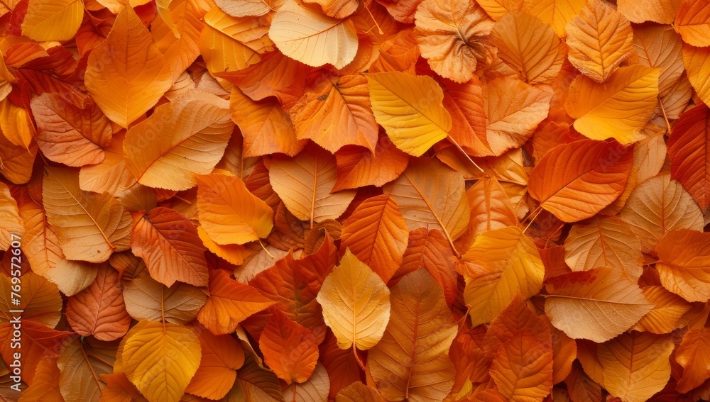Vibrant orange autumn leaves texture background. Fallen foliage pattern of colorful deciduous tree leaves. Vibrant orange autumn leaves texture background. Fallen foliage pattern of colorful deciduous tree leaves.