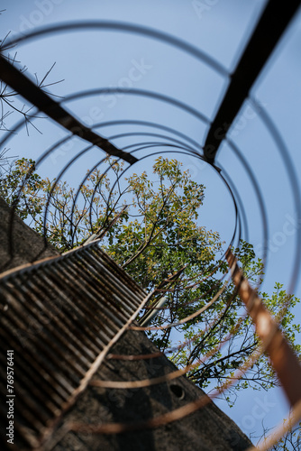 Barbed Wire Perspective. A striking view through concentric circles of barbed wire toward a tree and the sky, capturing the contrast between confinement and freedom. Ideal for security, p photo
