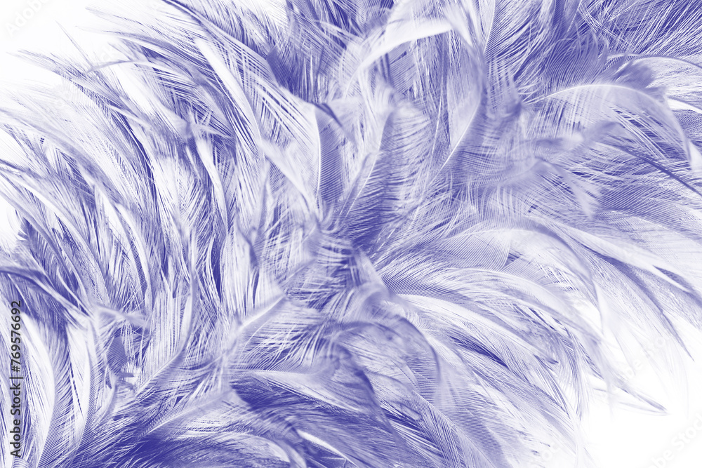 Obraz premium Beautiful dark violet feather pattern texture background , pastel color style