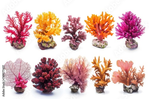 Set of colorful coral reefs isolated on white background, underwater nature photography