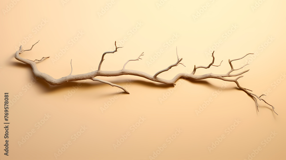 dry tree trunk dry tree trunk