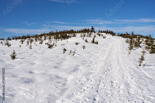 Wallpaper Mural Snowy trail at Silesian Beskid on European Bialy Krzyz in Poland Torontodigital.ca