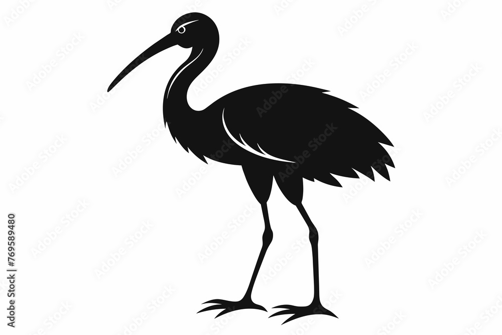 a ibis beautiful bird silhouette  vector illustration