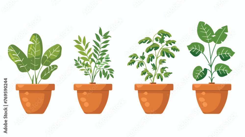 Plant pots with green leaves Vector potted plants  flat