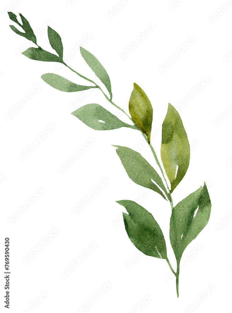 Watercolor twig with green leaves isolated illustration, botanical wedding element