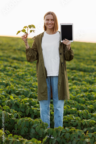 Smiling female agronomist holds digital tablet with mockup screen and soya plant in hand in field, examines, checks, looks at camera. Smart farming soybean technology. Control of growth, development