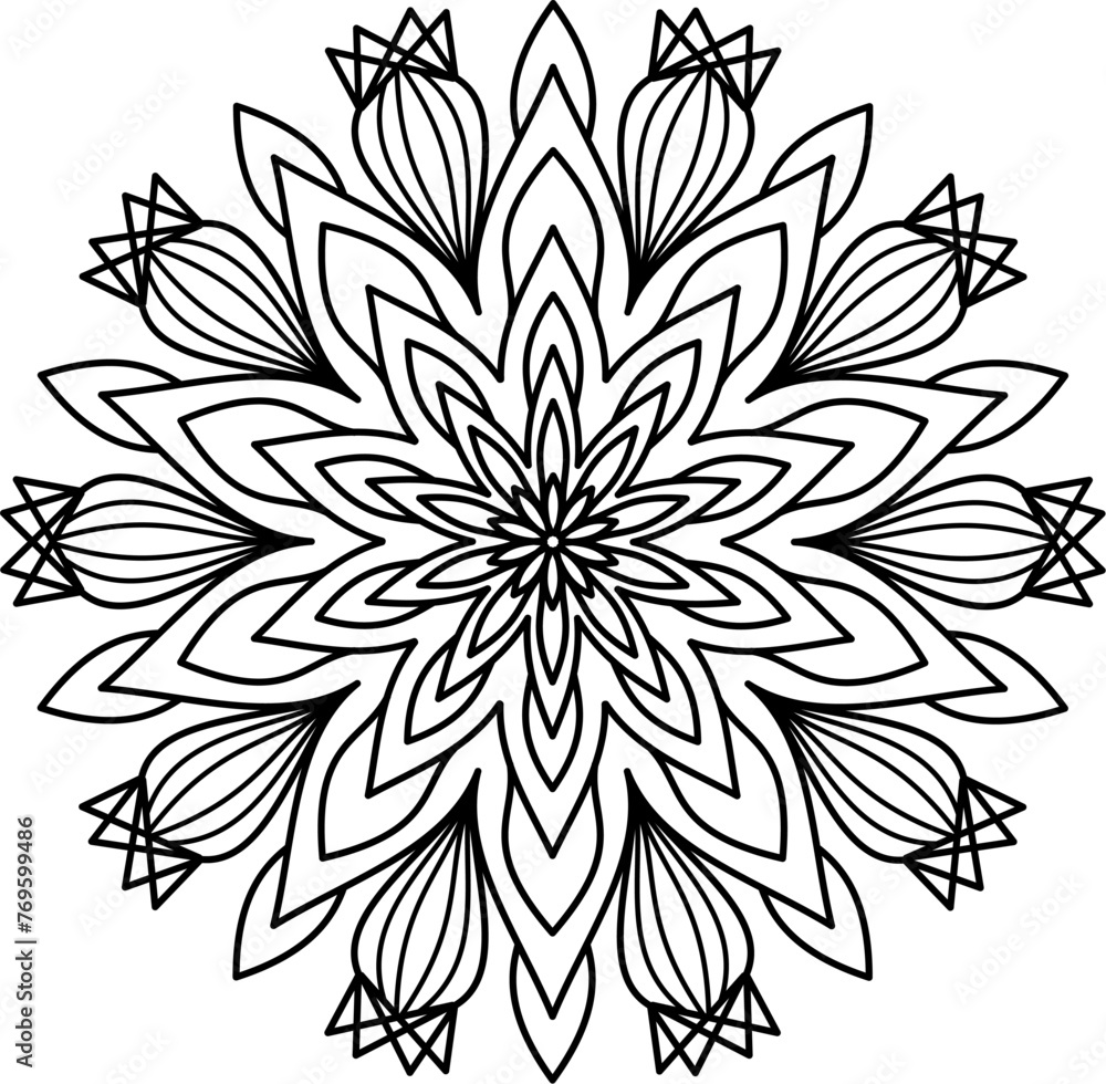 Black and white mandala. Paint art. Mandala art.