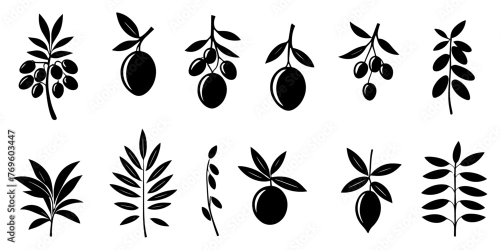 Olive branches with long leaves vector collection. Set of black silhouettes leaves and tree branches. Hand drawn foliage, herbs, tree twig. Vector ink elements isolated on white background. - obrazy, fototapety, plakaty 